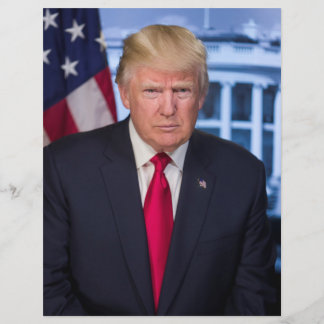 Lámina Retrato presidencial oficial de Donald Trump
