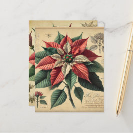 Lámina Retro Poinsettia Festividad Papel de cuaderno botá