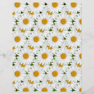 Lámina Retro White Daisies Sunny Floral Art Craft Paper