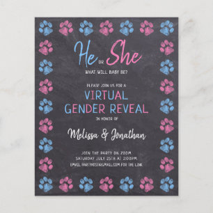 Lámina Revelación de género virtual del tablero rosa azul