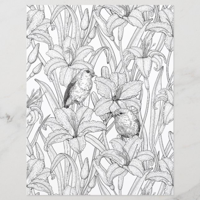 Lámina Robins y flores de lilo, negro y blanco (Anverso)