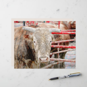 Lámina Rodeo Bull Rustic Country Western