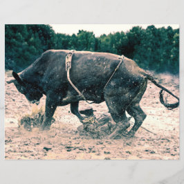 Lámina Rodeo occidental: Rústica de vaquero de campo negr