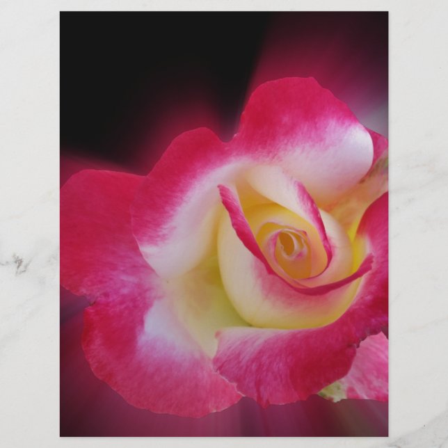 Lámina rosa amarillo rosa (Anverso)