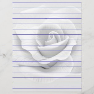 Lámina Rosa blanca