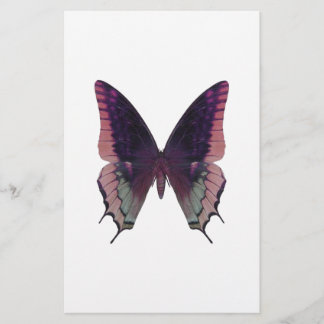 Lámina Rosa de mariposa detallada