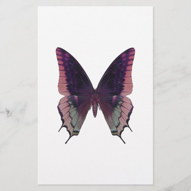 Lámina Rosa de mariposa detallada (Anverso)