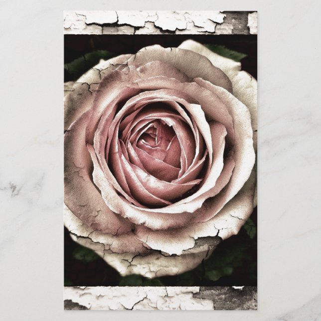 Lámina Rosa espléndido (Anverso)