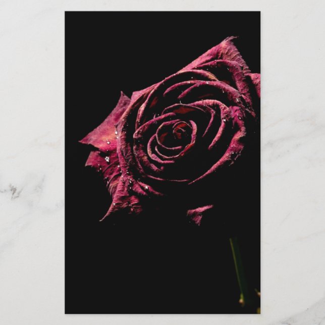 Lámina rosa negro (Anverso)