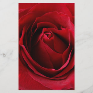Lámina rosa rojo profundo