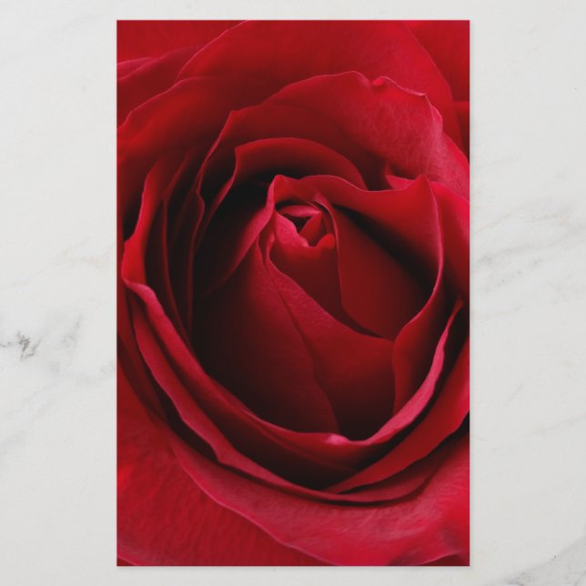 Lámina rosa rojo profundo (Anverso)