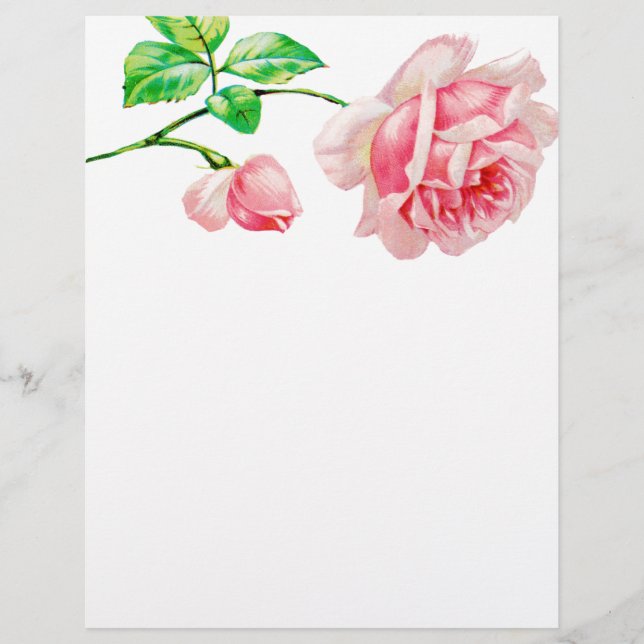 Lámina Rosa rosa vintage (Anverso)