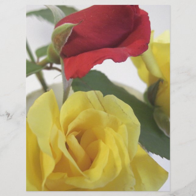 Lámina Rosas amarillas y rojas (Anverso)