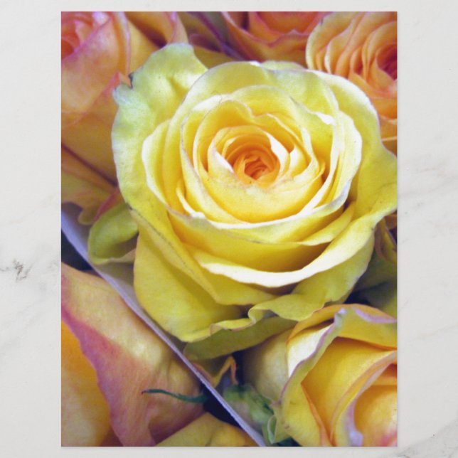 Lámina Rosas amarillos y Naranjas (Anverso)
