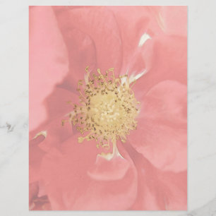 Lámina Rosas Arbustivas Mono