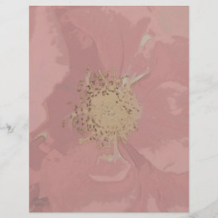 Lámina Rosas de Arbusto DullPastel