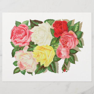 Lámina Rosas Rosa Blanco Amarillo Rojo Flor Floral #1