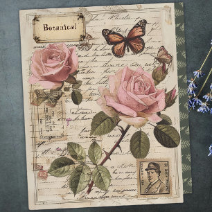 Lámina Rosas rosadas botánicas vintage y efemera de marip
