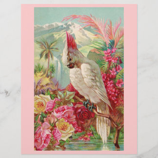 Lámina Roses rosadas de Cockatoo