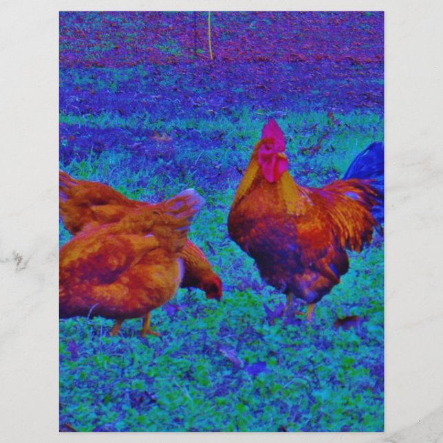 Lámina Rostro y gallinas arcoiris, azul eléctrico (Anverso)