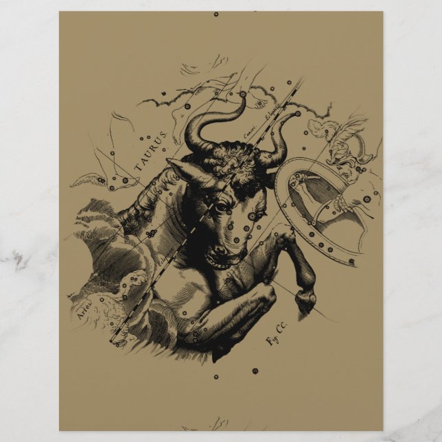 Lámina Rótulo Taurus Constellation Hevelius alrededor de  (Anverso)