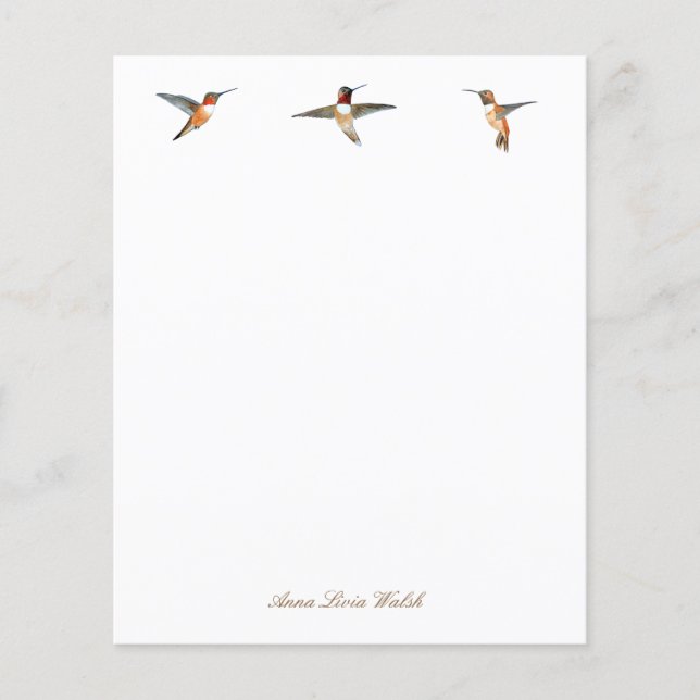 Lámina Rufous Hummingbirds Papel de estacionamiento (Anverso)