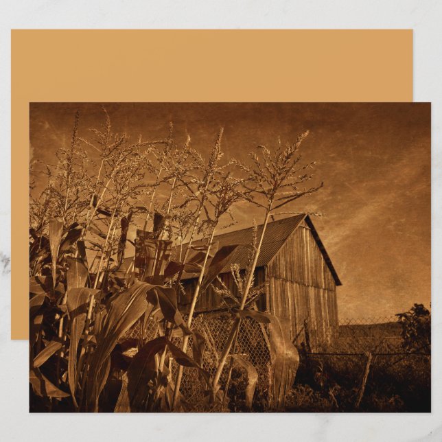 Lámina Rústica del campo de la textura de la granja de co (Anverso / Reverso)