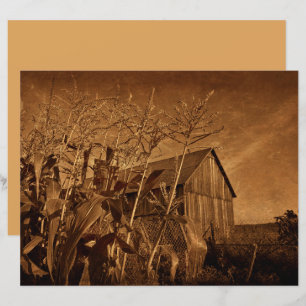 Lámina Rústica del campo de la textura de la granja de co