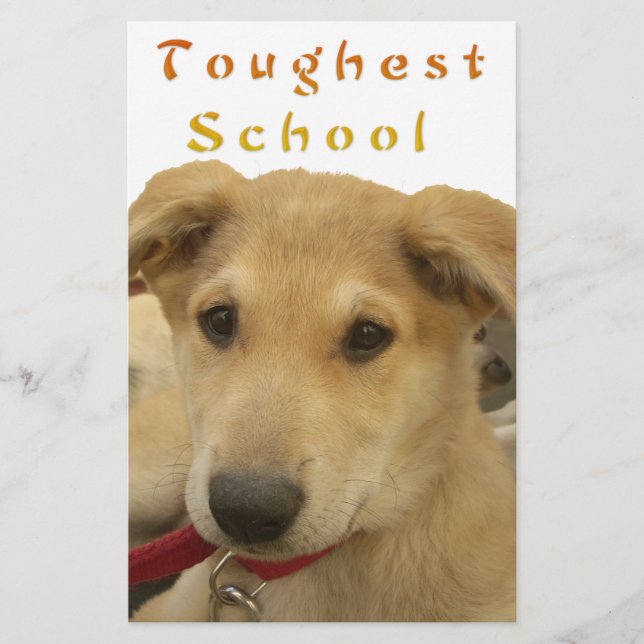 Lámina Sabiduría Dorada: Una mirada de perro a la escuela (Anverso)