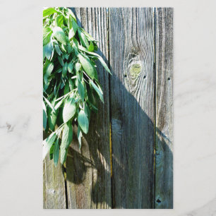 Lámina Sage Barn-wood de corte fresco
