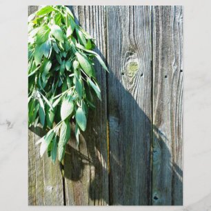 Lámina Sage Barn-wood de corte fresco