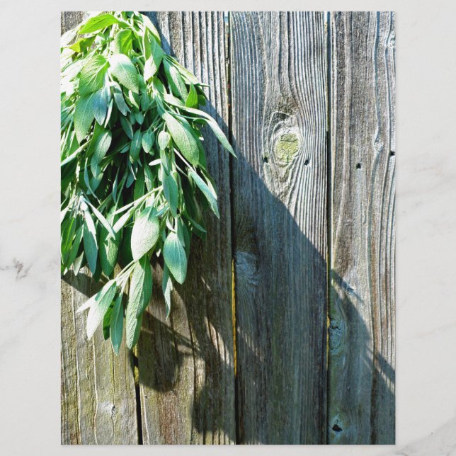 Lámina Sage Barn-wood de corte fresco (Anverso)