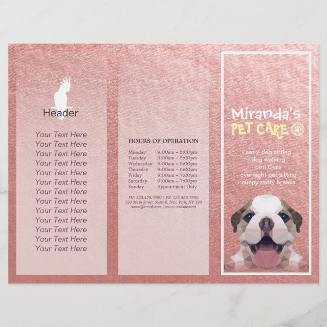 Lámina Salón de cultivo de mascotas con folletos trifásic (Anverso)