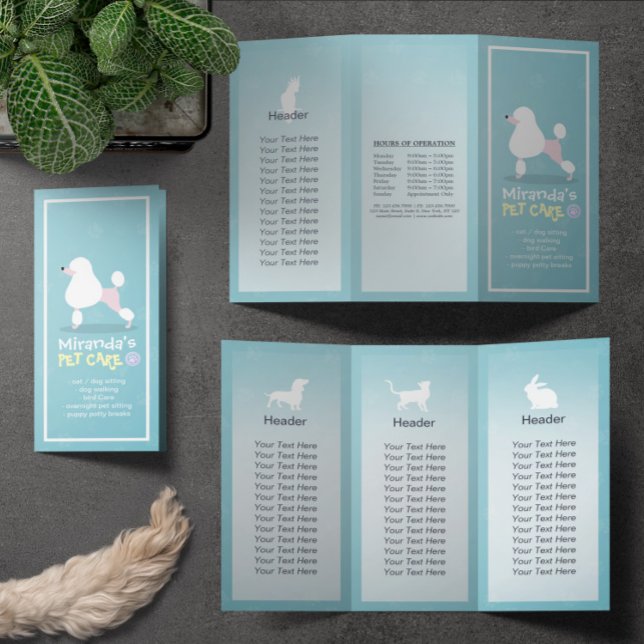 Lámina Salón de cultivo de mascotas con folletos trifásic (Subido por el creador)