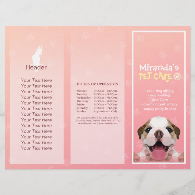 Lámina Salón de cultivo de mascotas con folletos trifásic (Anverso)