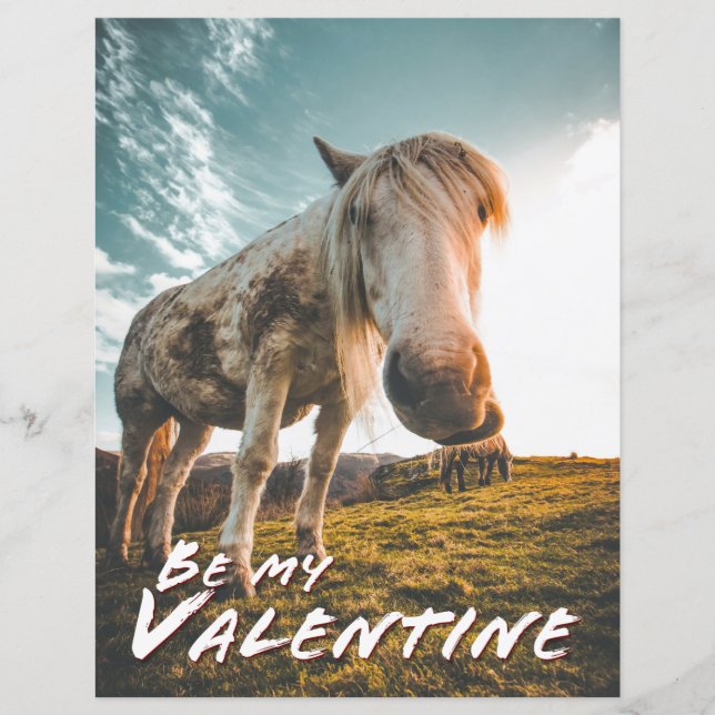 Lámina Sé mi San Valentín con aspecto de caballo (Anverso)