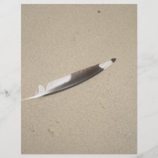 Lámina Seagull Feather