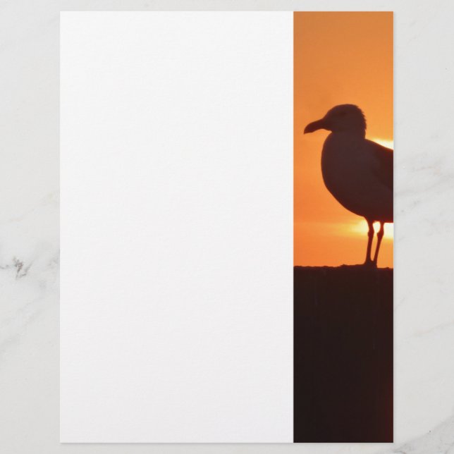 Lámina Seagull Sunset (Anverso)