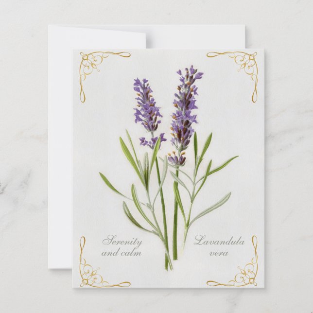 Lámina Serenidad y calma de Lavandula Vera pintada (Anverso)