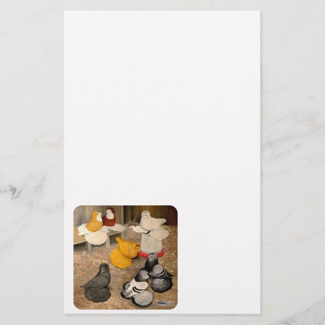 Lámina Siete palomas de Trumpeter (Anverso)