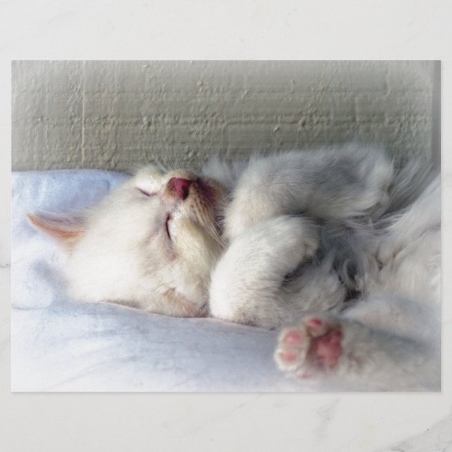 Lámina Sleepy Kitten (Anverso)