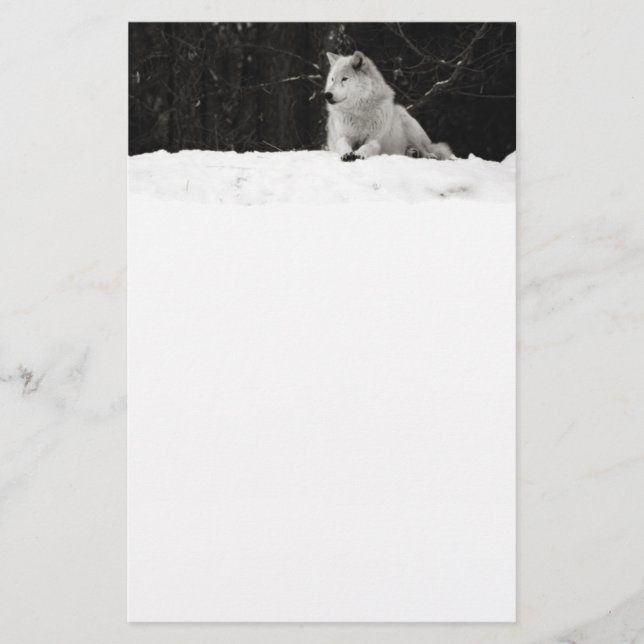 Lámina Snow Wolf (Anverso)