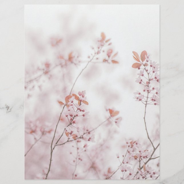 Lámina Soft sakura blooms scrapbook paper (Anverso)