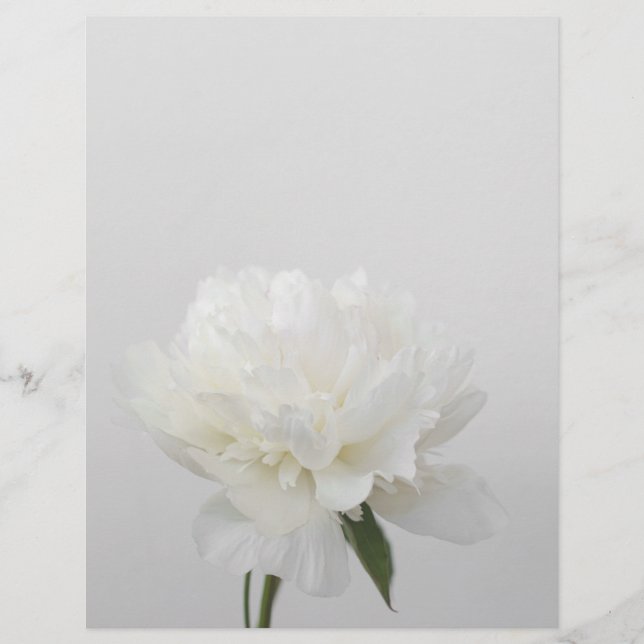 Lámina Soft white minimalist peony scrapbook paper (Anverso)