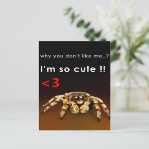 Lámina Spider, soy muy lindo   Araña Lover Gift