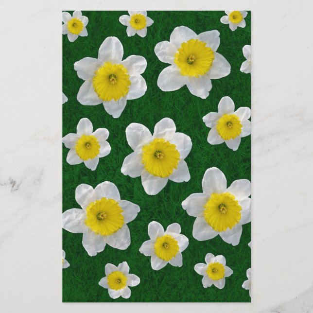 Lámina Spring Daffodils (Anverso)