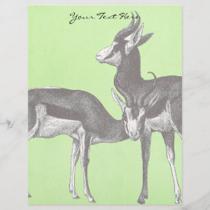 Lámina Springbok Letterhead