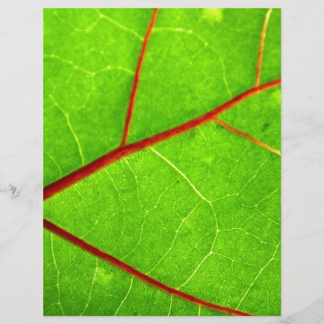 Lámina St Thomas 1 (Anverso)