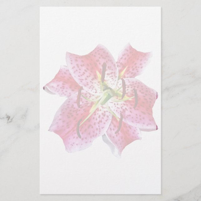 Lámina Stargazer Lily Closeup (Anverso)