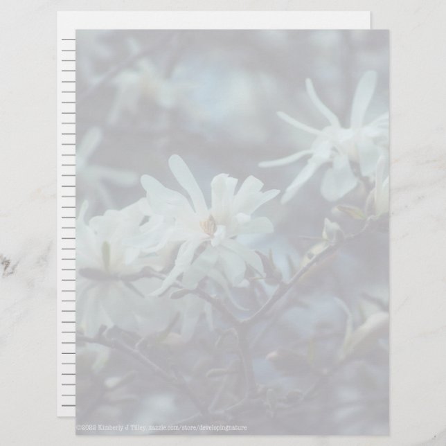 Lámina Starry Magnolia 3172 (Anverso / Reverso)